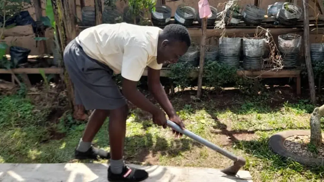 Dalton, split wood with an axe with so much joy.