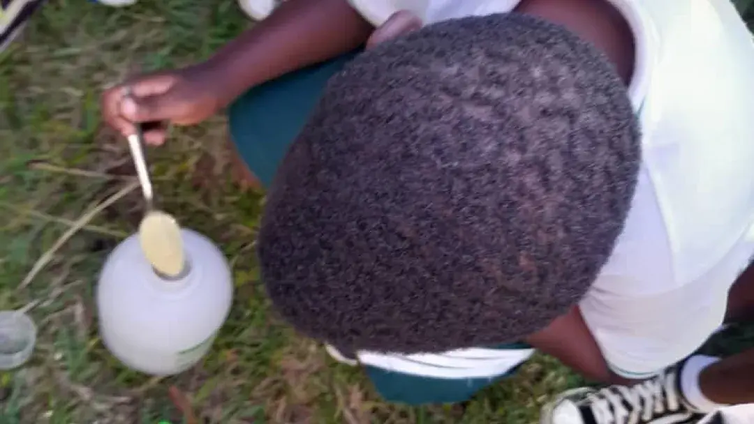 Progress of our vegetable garden