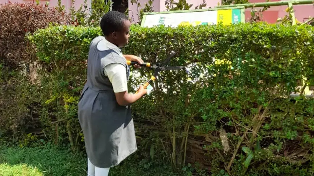 Noella, used a pruner to trim and shape the plant.