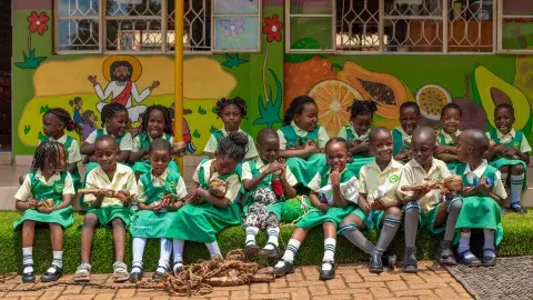 Project work, Top class