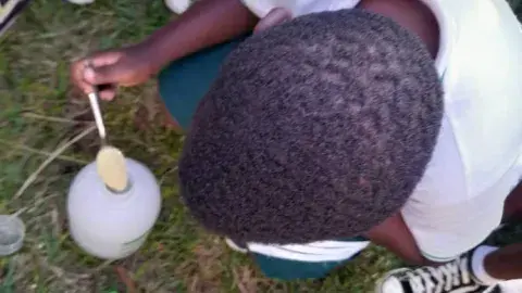 Progress of our vegetable garden