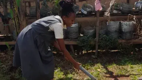 Marketta, used an axe to split wood.